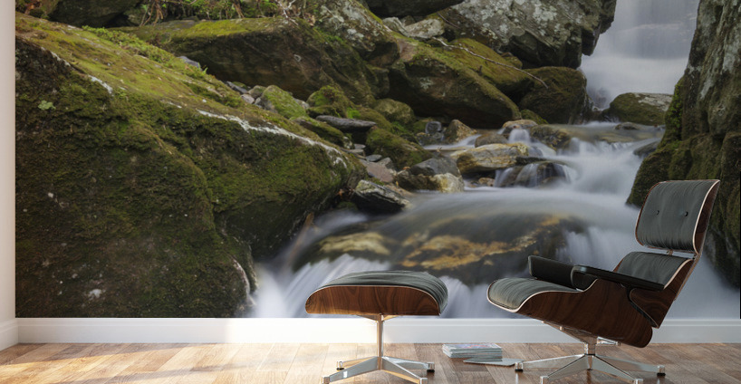 Stark Falls Brook - Kinsman Notch New Hampshire  Wall Murals