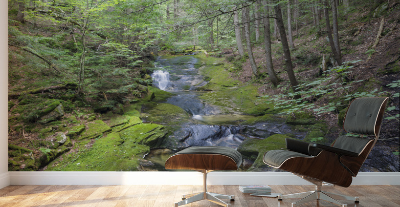 Mossy Glen - Randolph New Hampshire Wall Murals