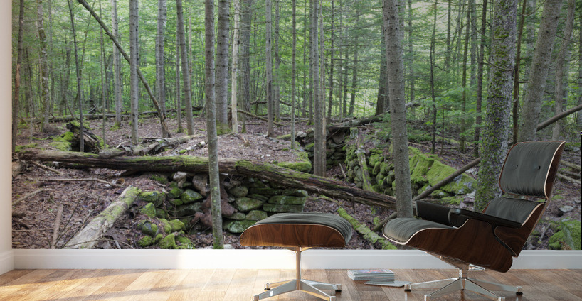 Breezy Point - Warren New Hampshire Wall Murals