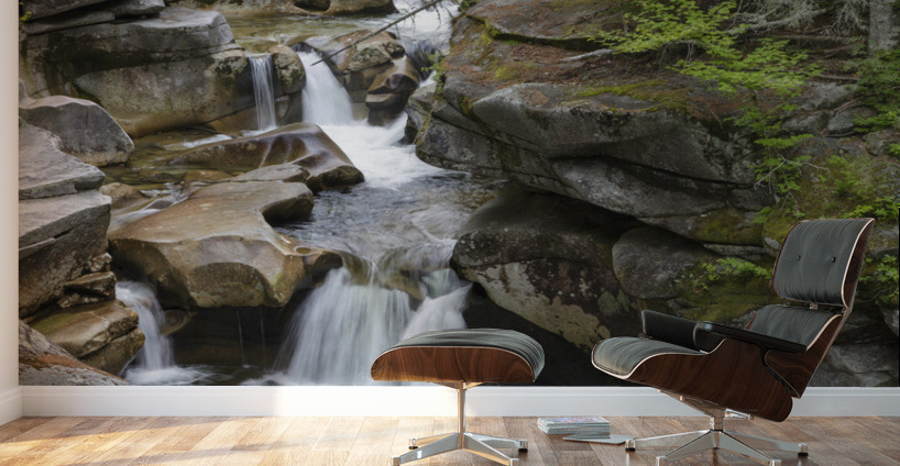 Middle Ammonoosuc Falls - Crawfords Purchase New Hampshire  Wall Murals