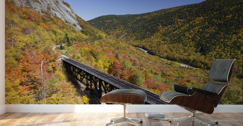 Willey Brook Trestle - Harts Location New Hampshire Wall Murals