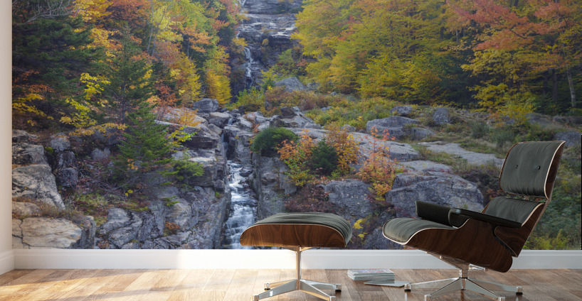 Silver Cascade - Crawford Notch New Hampshire  Wall Murals