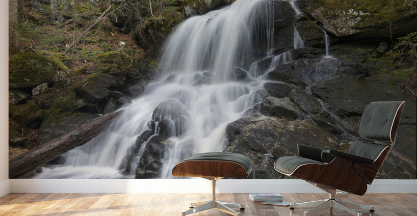 Holden Falls - Franconia New Hampshire Wall Murals