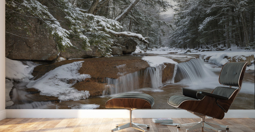Pemigewasset River - Franconia Notch State Park New Hampshire Wall Murals