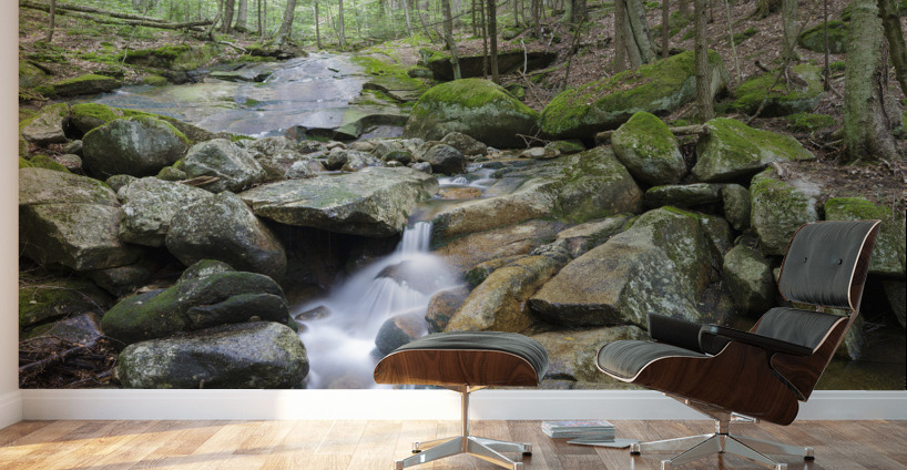 Pollard Brook - Lincoln New Hampshire Wall Murals