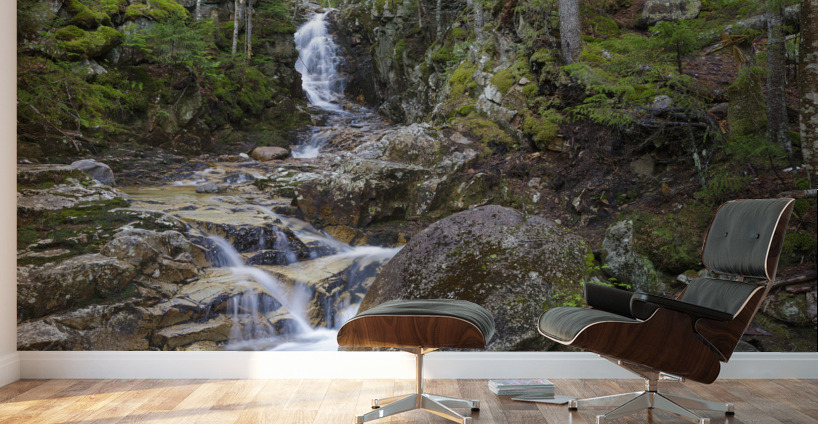 Pearl Cascade - Bethlehem New Hampshire Wall Murals