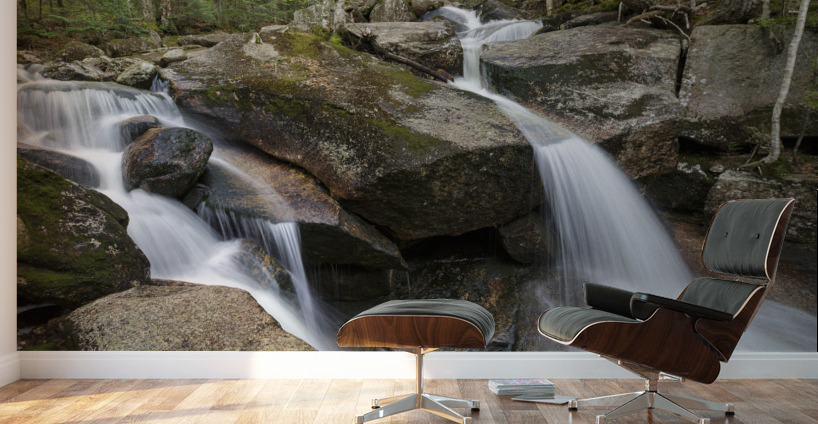 Whitehouse Brook - Lincoln New Hampshire Wall Murals