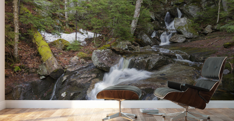 Elephant Head Brook - Carroll New Hampshire  Wall Murals