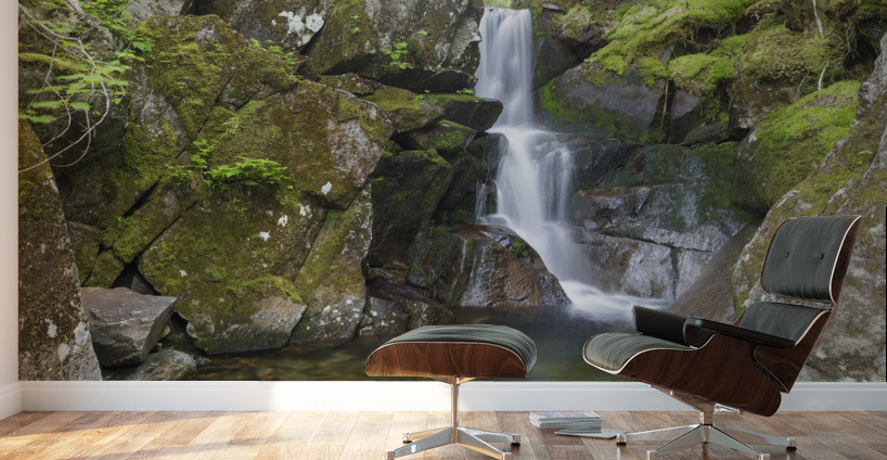Duck Fall - Low and Burbanks Grant New Hampshire  Wall Murals