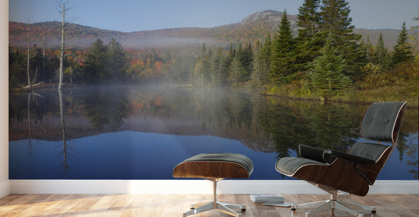 Wildlife Pond - Bethlehem New Hampshire Wall Murals