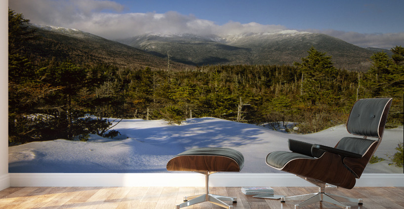 Lows Bald Spot - Mt Washington New Hampshire Wall Murals