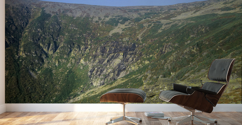Tuckerman Ravine - Mount Washington New Hampshire  Wall Murals