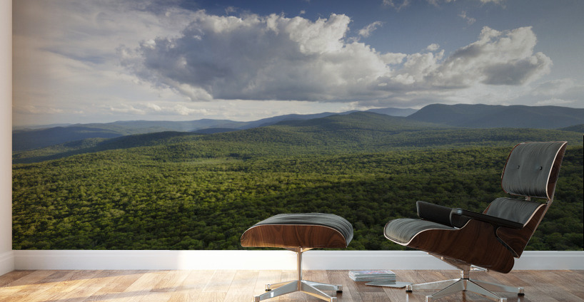 Mount Pemigewasset - Franconia Notch New Hampshire Wall Murals