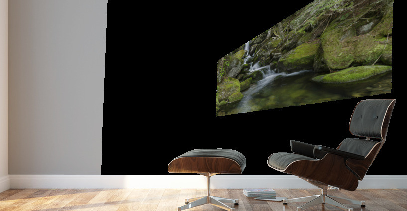 Cold Brook - Low and Burbanks Grant New Hampshire Wall Murals