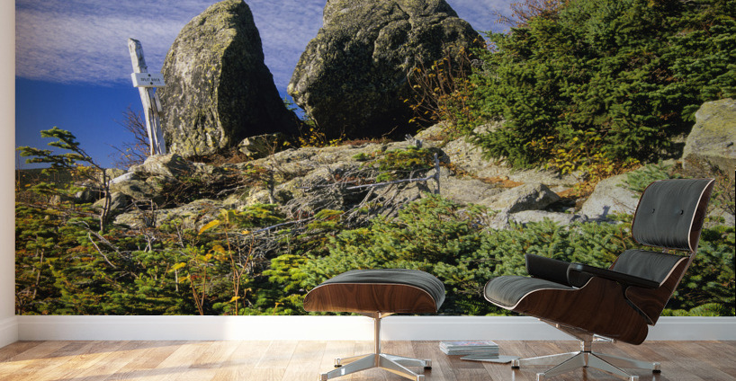 Boott Spur Trail - Mount Washington New Hampshire  Wall Murals