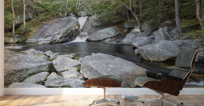 Harvard Brook - Lincoln New Hampshire Wall Murals