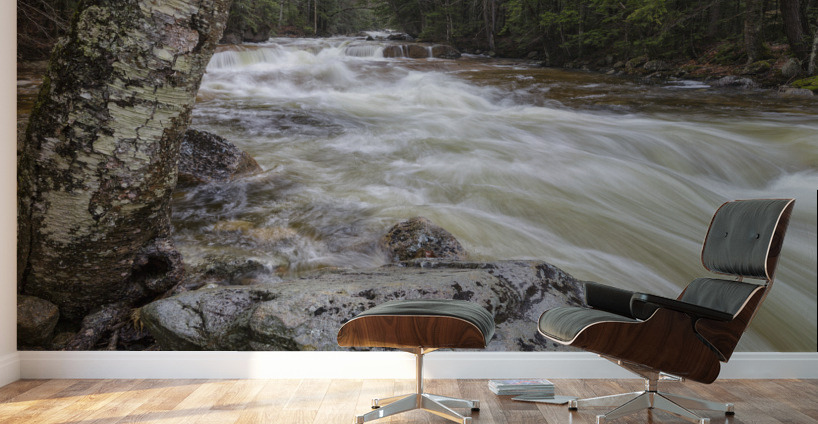 Pemigewasset River - Franconia Notch State Park New Hampshire Wall Murals