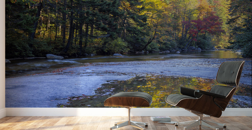 Swift River - White Mountains New Hampshire Wall Murals