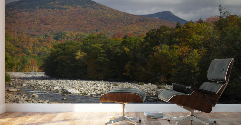 East Branch of the Pemigewasset River - Lincoln New Hampshire Wall Murals