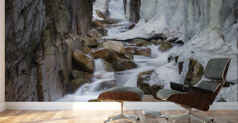 Flume Gorge - Franconia Notch State Park New Hampshire Wall Murals