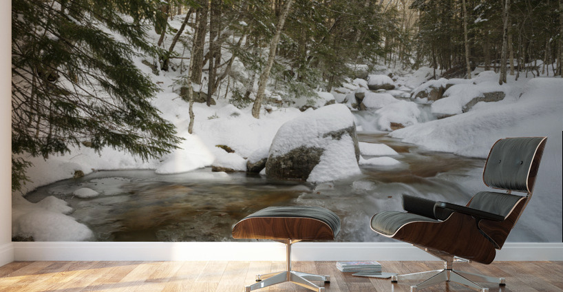 Flume Brook - Franconia Notch State Park New Hampshire Wall Murals