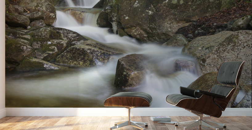 Clough Mine Brook - Kinsman Notch New Hampshire Wall Murals