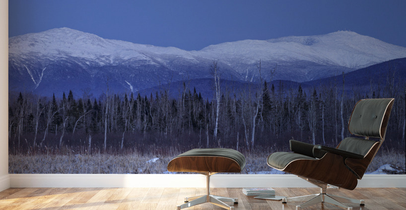 Pondicherry Wildlife Refuge - Jefferson New Hampshire Wall Murals