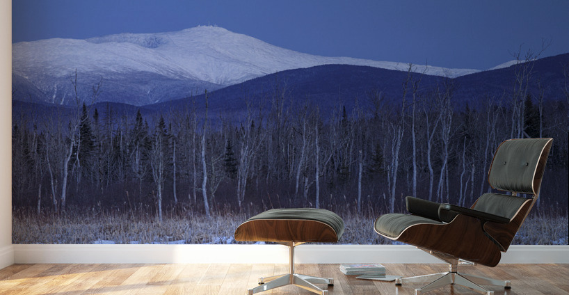 Mount Washington - Pondicherry Wildlife Refuge New Hampshire Wall Murals