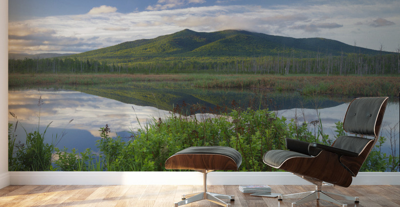 Cherry Mountain - Moorhen Marsh Pondicherry Wildlife Refuge Wall Murals