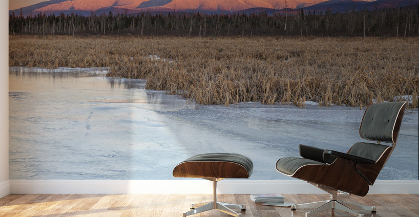 Pondicherry Wildlife Refuge - Jefferson New Hampshire Wall Murals