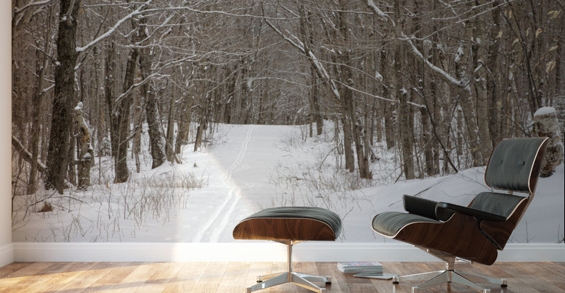 Lafayette Ski Trails - Franconia New Hampshire Wall Murals