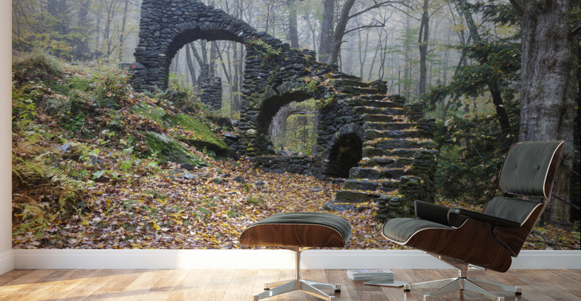 Madame Sherri Forest - Chesterfield New Hampshire Wall Murals