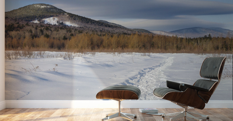 Downes - Oliverian Brook Ski Trail - White Mountains New Hampshire Wall Murals
