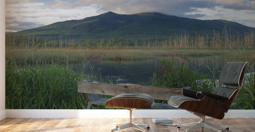 Cherry Mountain - Moorhen Marsh Pondicherry Wildlife Refuge Wall Murals