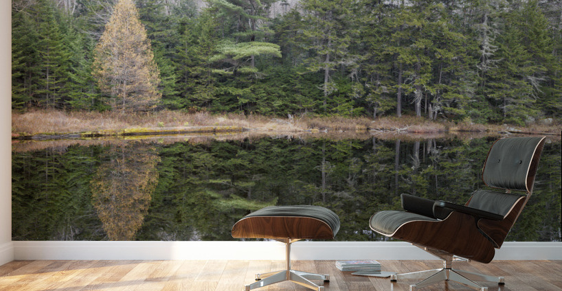 Black Pond - White Mountains New Hampshire Wall Murals