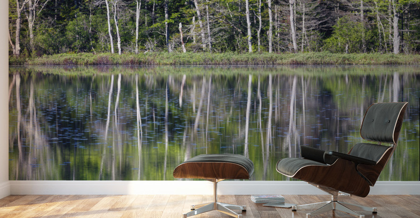 Elbow Pond - North Woodstock New Hampshire Wall Murals