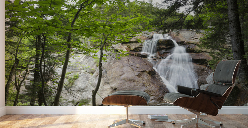 Harvard Brook - Lincoln New Hampshire Wall Murals