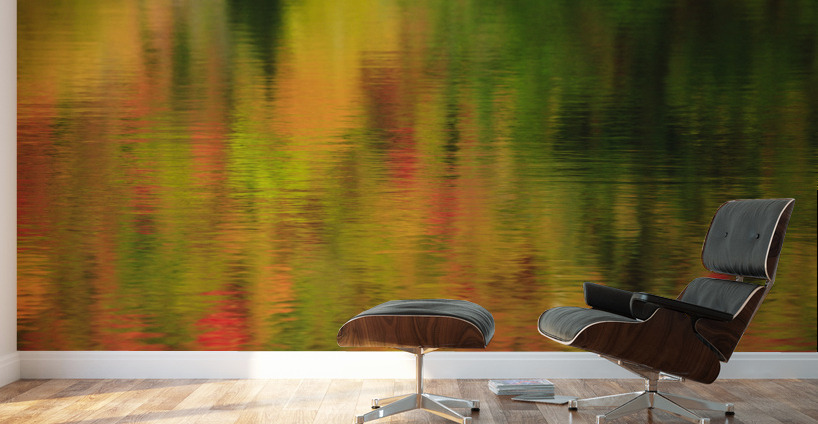 Wildlife Pond - Bethlehem  New Hampshire  Wall Murals