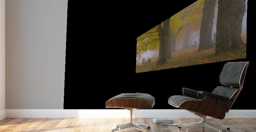 Greenlawn Cemetery - Mount Vernon New Hampshire Wall Murals