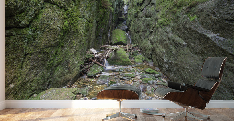 Kinsman Flume - Mt. Kinsman Trail New Hampshire  Wall Murals
