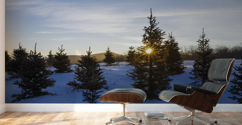 The Rocks Estate - Bethlehem New Hampshire Wall Murals