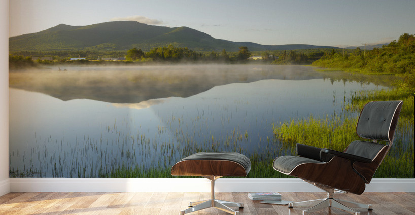 Airport Marsh - Whitefield New Hampshire Wall Murals