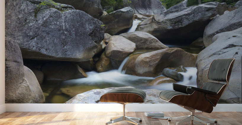 Pemigewasset River - Franconia Notch State Park New Hampshire Wall Murals