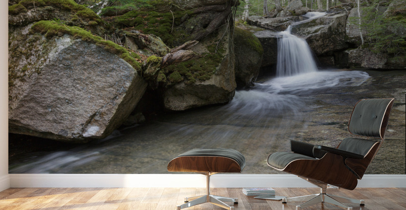 Whitehouse Brook - Lincoln New Hampshire Wall Murals