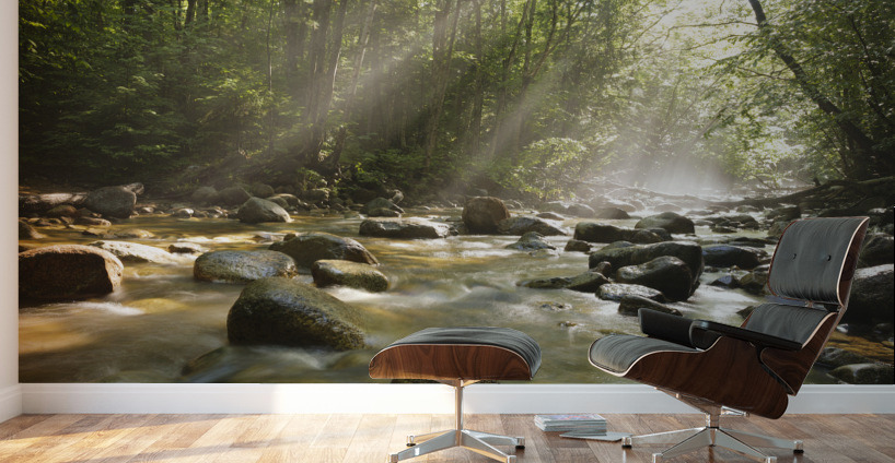 Cedar Brook - Pemigewasset Wilderness New Hampshire Wall Murals