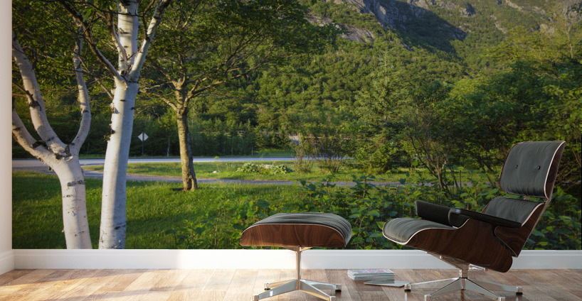 Eagle Cliff - Franconia Notch State Park New Hampshire Impression murale