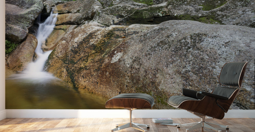 Mt Field Brook Cascades - Bethlehem New Hampshire Wall Murals