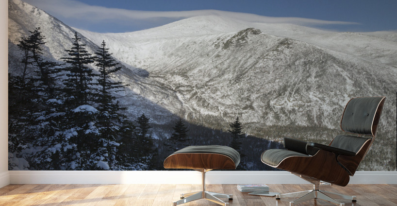 Boott Spur Link Trail - Mt Washington Tuckerman Ravine Wall Murals