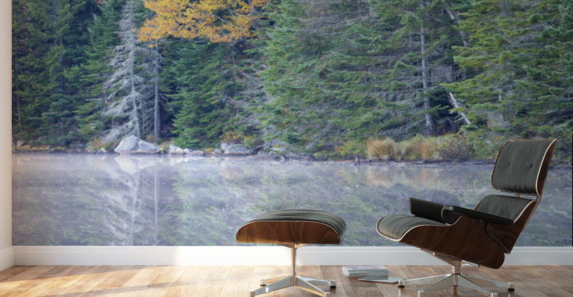 Saco Lake - Carroll New Hampshire Wall Murals