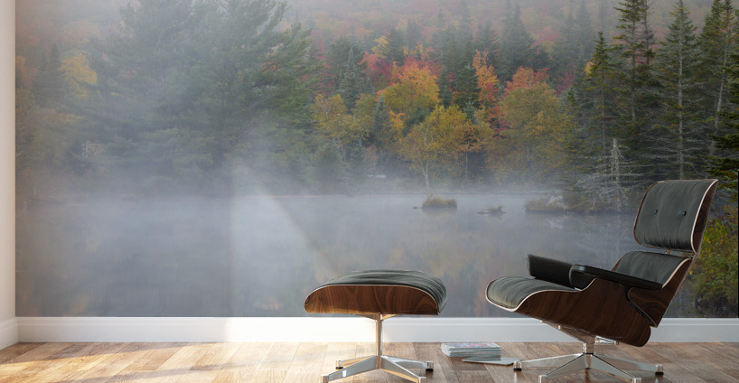 Wildlife Pond - Bethlehem New Hampshire Wall Murals